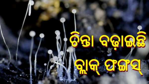 ଚିନ୍ତା ବଢ଼ାଇଲାଣି ବ୍ଲାକ୍ ଫଙ୍ଗସ୍: ବୁର୍ଲା ଭୀମ୍‌ସାରରେ ଆଉ ୩ ରୋଗୀ ଭର୍ତ୍ତି