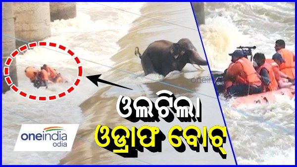 ଅପରେସନ୍ ଗଜରାଜ: ହାତୀକୁ ଉଦ୍ଧାର କରିବାକୁ ଯାଇ ଓଲଟିଲା ଓଡ୍ରାଫ ବୋଟ୍‌