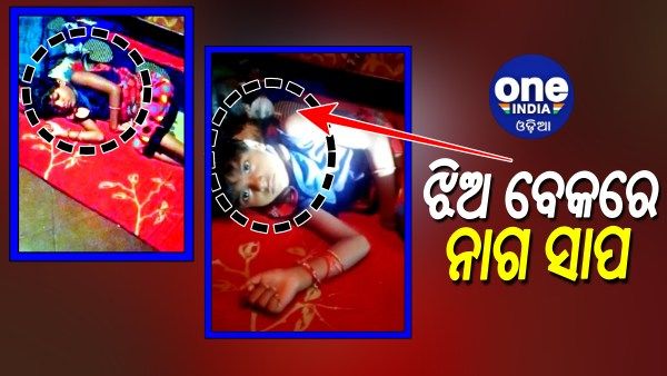 କୁନି ଝିଅର ବେକରେ ନାଗ ସାପ, ଫଣା ଟେକି ଘଣ୍ଟାଏ କାଳ ରହିଲା ନାଗ