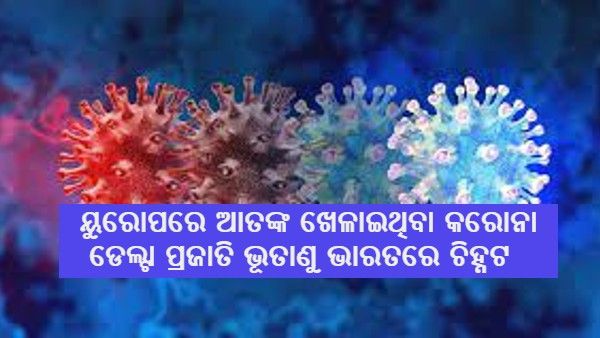 ମଧ୍ୟପ୍ରଦେଶରେ ଚିହ୍ନଟ ହୋଇଛି କରୋନା ନୂତନ ପ୍ରଜାତିର ଭୂତାଣୁ