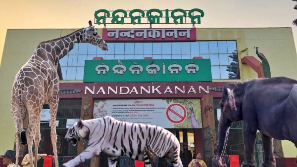 ଆଜିଠୁ ନନ୍ଦନକାନନରେ ଟୟ ଟ୍ରେନ୍ ସେବା, ଚିଡିଆଖାନକୁ ଆସିବେ ନୂଆ ଅତିଥି