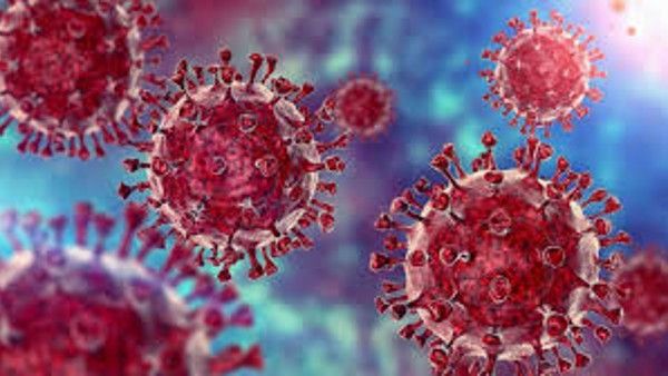 ଓମିକ୍ରନ ଆତଙ୍କ: ଆନ୍ତର୍ଜାତୀୟ ଯାତ୍ରୀମାନଙ୍କ ପାଇଁ ସଂଶୋଧିତ ନିର୍ଦ୍ଦେଶାବଳୀ ଜାରି କଲା ଭାରତ