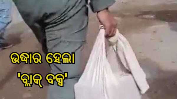 କୁନ୍ନୁର ହେଲିକପ୍ଟର ଦୁର୍ଘଟଣା : ଉଦ୍ଧାର ହେଲା Mi-17V5 ହେଲିକପ୍ଟରର ଫ୍ଲାଇଟ୍ ଡାଟା ଏବଂ କକ୍ପିଟ୍ ଭଏସ୍ ରେକର୍ଡର୍