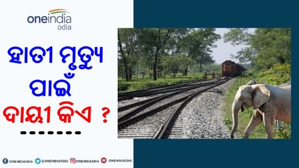 ଟ୍ରେନ ଧକ୍କାରେ ଦୁଇ ହାତୀଙ୍କ ମୃତ୍ୟୁ, ଆରମ୍ଭ ହେଲା ତଦନ୍ତ