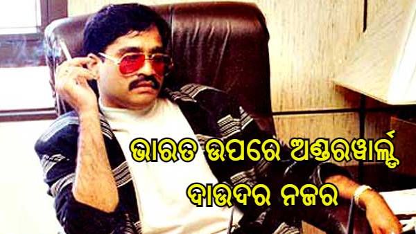 ଭାରତ ଉପରେ ଅଣ୍ଡରୱାର୍ଲ୍ଡର ନଜର, ସ୍ୱତନ୍ତ୍ର ୟୁନିଟ୍ ଗଠନ କରି ଆକ୍ରମଣ ନେଇ କରୁଛି ଯୋଜନା, ଟାର୍ଗେଟ୍ ରେ ନେତା ଏବଂ ବ୍ୟବସାୟୀ