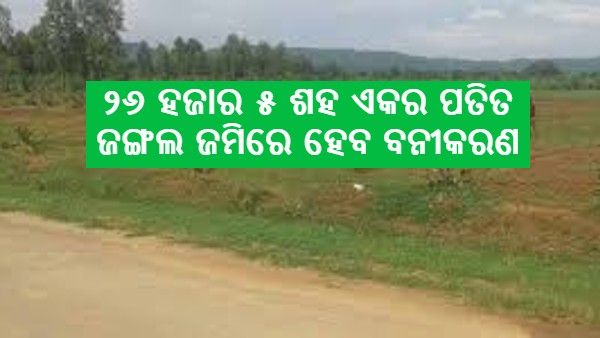 ଓଡିଶା: ୨୬ ଏକର ପତିତ ରାଜସ୍ୱ ଜମିରେ ହେବ ନୂତନ ବନୀକରଣ