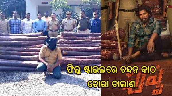 ‘ପୁଷ୍ପା' ଫିଲ୍ମ ଷ୍ଟାଇଲରେ ଚୋରୀ କରୁଥିଲା ନାଲି ଚନ୍ଦନ କାଠ, ମଡ଼ି ବସିଲା ପୋଲିସ୍