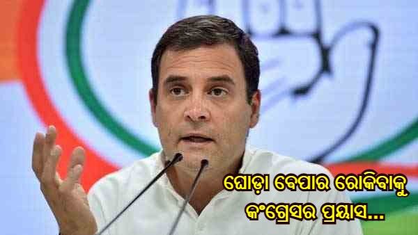 ଘୋଡ଼ା ବେପାର ରୋକିବାକୁ କଂଗ୍ରେସର ପ୍ରୟାସ... ଫଳାଫଳ ପୂର୍ବରୁ ସ୍ୱତନ୍ତ୍ର ଦଳ ପଠାଇଲେ ରାହୁଲ