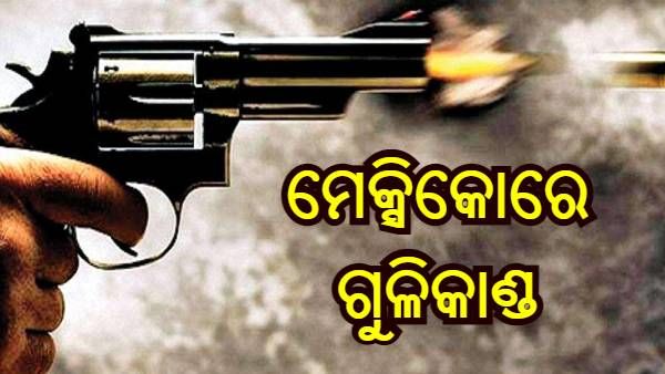 ମେକ୍ସିକୋରେ ଗୁଳିକାଣ୍ଡ, 19 ଜଣଙ୍କର ମୃତ୍ୟୁ
