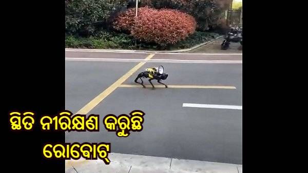 ଚୀନର ସଂଘାଇରେ କଡା ଲକଡାଉନ୍, କୋଭିଡ୍ ପ୍ରୋଟୋକଲ୍ ଉପରେ ନଜର ରଖିବା ପାଇଁ ପାଟ୍ରୋଲିଂ କରୁଛି ରୋବଟ୍