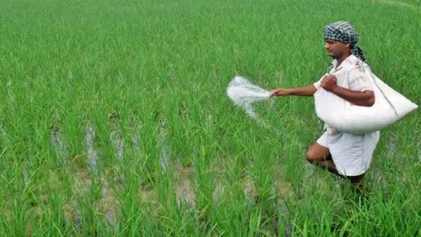 ରୁଷ-ୟୁକ୍ରେନ ଯୁଦ୍ଧ ପାଇଁ ଅନ୍ତର୍ଜାତୀୟ ବଜାରରେ ବଢୁଛି ସାର ମୂଲ୍ୟ