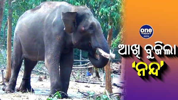 ଚନ୍ଦକାରେ ଆଖି ବୁଜିଲା ‘ନନ୍ଦ’