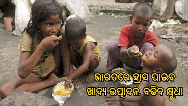 ଜଳବାୟୁ ପରିବର୍ତ୍ତନ ହେତୁ ଭାରତରେ ହ୍ରାସ ପାଇବ ଖାଦ୍ୟ ଉତ୍ପାଦନ, ବଢିବ କ୍ଷୁଧା : ରିପୋର୍ଟ