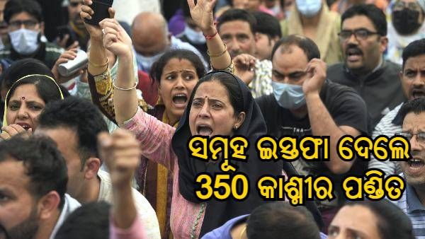 କାଶ୍ମୀର ପଣ୍ଡିତ ହତ୍ୟା ମାମଲା : ସରକାରୀ ଚାକିରୀରୁ ସମୂହ ଇସ୍ତଫା ଦେଲେ ଉପତ୍ୟକାରେ ଥିବା 350 କାଶ୍ମୀର ପଣ୍ଡିତ