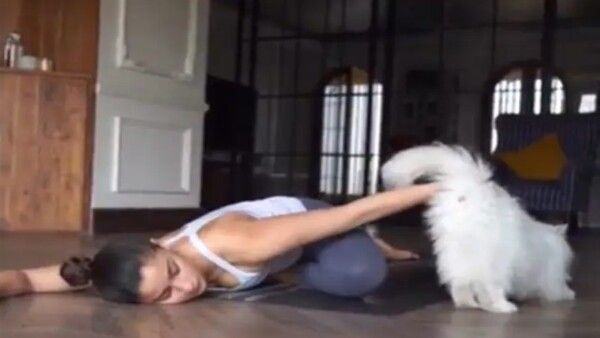 ଏଡୱାର୍ଡ ସହ ଯୋଗ ଦିବସ ପାଳିଲେ ଆଲିଆ