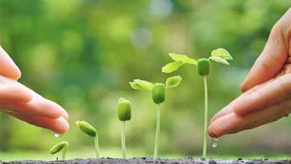 ବିଶ୍ୱ ପରିବେଶ ଦିବସ 2022: ଚଳିତ ବର୍ଷର ବିଷୟବସ୍ତୁ 'ଓନଲି ୱାନ ଆର୍ଥ'