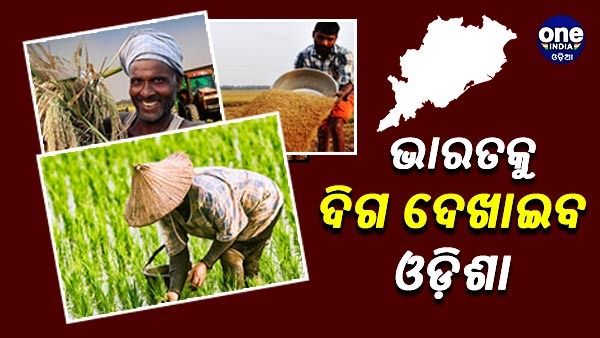 ଖାଦ୍ୟ ସୁରକ୍ଷା ଓ କୃଷି ବିକାଶ: ଦେଶକୁ ଦିଗ ଦେଖାଇବ ଓଡ଼ିଶା