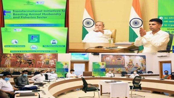 ମତ୍ସ୍ୟ ଓ ପ୍ରାଣୀ ସମ୍ପଦ ମ୍ୟାପିଂ ବ୍ୟବସ୍ଥାର ଶୁଭାରମ୍ଭ କଲେ ମୁଖ୍ୟମନ୍ତ୍ରୀ