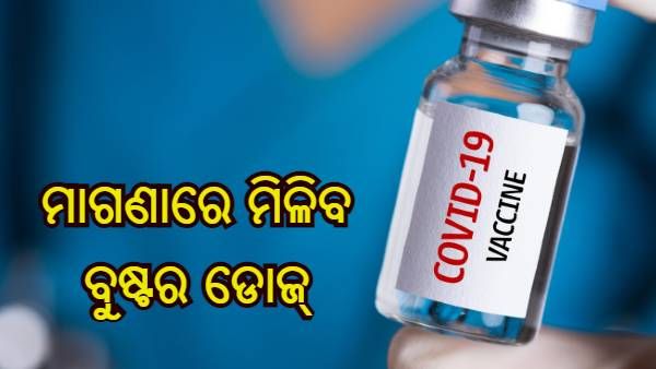 18-59 ବର୍ଷ ପର୍ଯ୍ୟନ୍ତ ଲୋକଙ୍କ ପାଇଁ ମାଗଣା ବୁଷ୍ଟର୍ ଡୋଜ୍, ଏତିକି ଦିନ ଭିତରେ ନେବାକୁ ହେବ ଟିକା