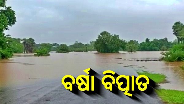 ମାଲକାନଗିରିରେ ଲଗାଣ ବର୍ଷା: ଆନ୍ଧ୍ର, ତେଲେଙ୍ଗାନା, ଛତିଶଗଡ଼କୁ ଯୋଗାଯୋଗ ବିଚ୍ଛିନ୍ନ