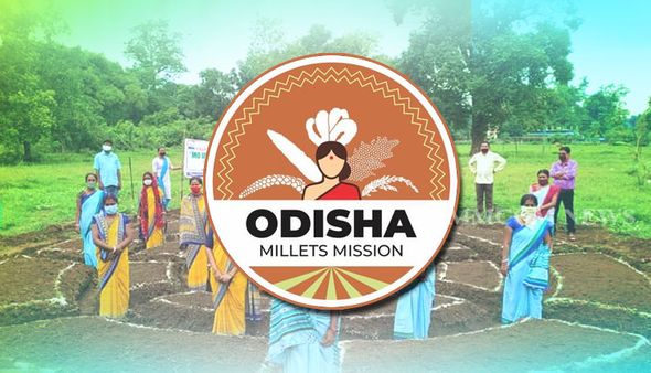 'ଓଡ଼ିଶା ମିଲେଟ୍ ମିଶନ୍'ର ସଫଳତା