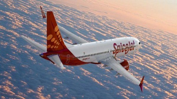 SpiceJet ଉପରେ DGCA ର ବଡ କାର୍ଯ୍ୟାନୁଷ୍ଠାନ, 8 ସପ୍ତାହ ପାଇଁ 50% ବିମାନ ଉପରେ ପ୍ରତିବନ୍ଧକ