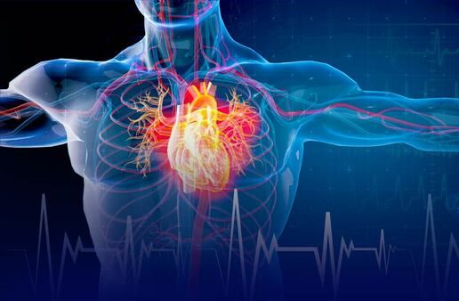 ଦିଲ୍ଲୀ, ପଞ୍ଜାବରେ କିଶୋରଙ୍କୁ ହୃଦରୋଗ ଭୟ, ଜୀବନଶୈଳୀ ପରିବର୍ତ୍ତନ ନେଇ ଡାକ୍ତରଙ୍କ ପରାମର୍ଶ