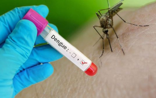 ରାଜଧାନୀରେ ଡେଙ୍ଗୁ ଭୟ, ବଢିବାରେ ଲାଗିଛି ରୋଗୀଙ୍କ ସଂଖ୍ୟା