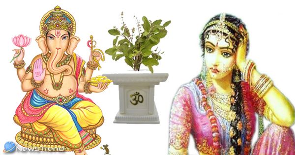 ଗଣେଶଙ୍କ ପୂଜାରେ କାହିଁକି ବ୍ୟବହାର ହୁଏ ନାହିଁ ତୁଳସୀ