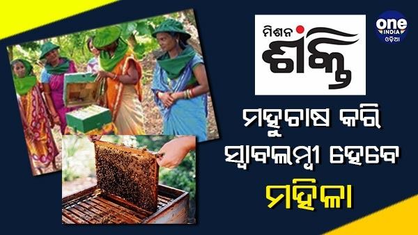 ମହୁଚାଷ କରି ସ୍ୱାବଲମ୍ବୀ ହେବେ ମହିଳା