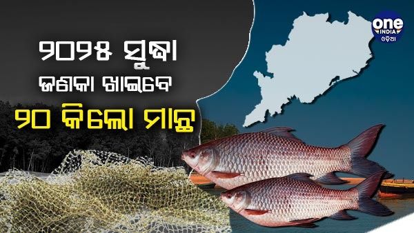 ୨୦୨୫ ସୁଦ୍ଧା ଜଣକା ଖାଇବେ ୨୦ କିଲୋ ମାଛ
