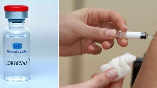 ବୁଷ୍ଟର୍ ଡୋଜ୍ ପାଇଁ କୋର୍ବାଭ୍ୟାକ୍ସକୁ ଭାରତ ସରକାରଙ୍କ ଅନୁମୋଦନ