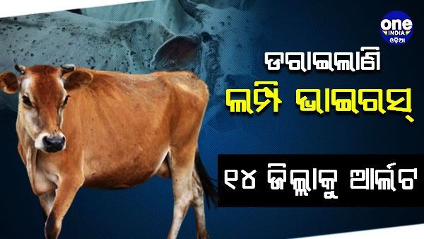 ଚର୍ମବିଣ୍ଡି ରୋଗ ପାଇଁ ୧୪ ଜିଲ୍ଲାକୁ ଜାରି ହେଲା ଆଡଭାଇଜରି