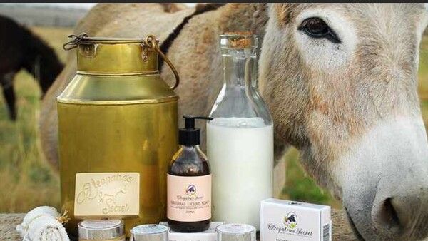 ପୁଅ ପାଇଁ ସଫ୍ଟୱେର ଇଞ୍ଜିନିୟରରୁ ଗଧ ବ୍ୟବସାୟୀ ହେଲେ ବାପା