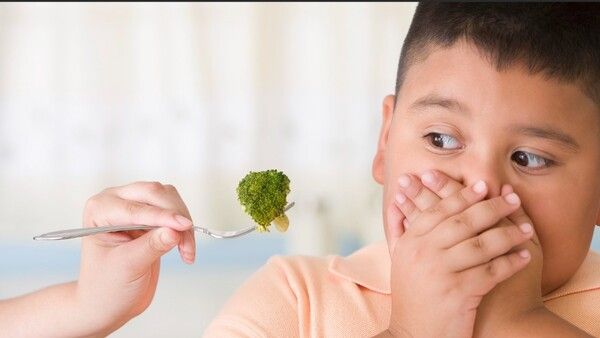 କମ୍ ଖାଦ୍ୟ ଖାଇଲେ କମିବନି ମୋଟାପଣ: ଅଧ୍ୟୟନ