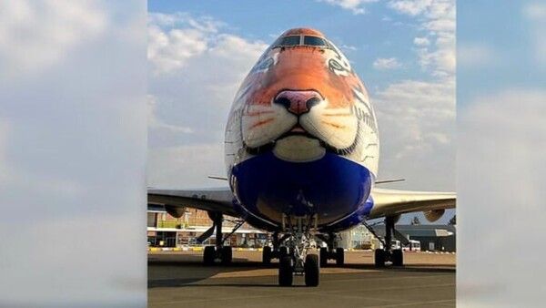 ଭାରତକୁ ଚିତା ଆଣିବ ବି747 ଜମ୍ବୋ ଜେଟ୍