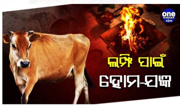 ଲମ୍ଫି ଭାଇରସରୁ ମୁକ୍ତି ପାଇଁ ରାଜସ୍ଥାନରେ ଯଜ୍ଞ, ଗାୟତ୍ରୀ ମନ୍ତ୍ରରେ କମ୍ପୁଛି ଚର୍ତୁଦିଗ