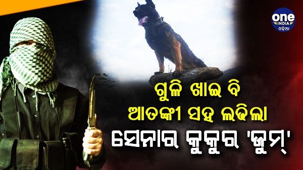 ଦୁଇଟି ଗୁଳି ଲାଗିବା ପରେ ବି ଆତଙ୍କବାଦୀଙ୍କ ସହ ଲଢିଲା ସେନାର କୁକୁର