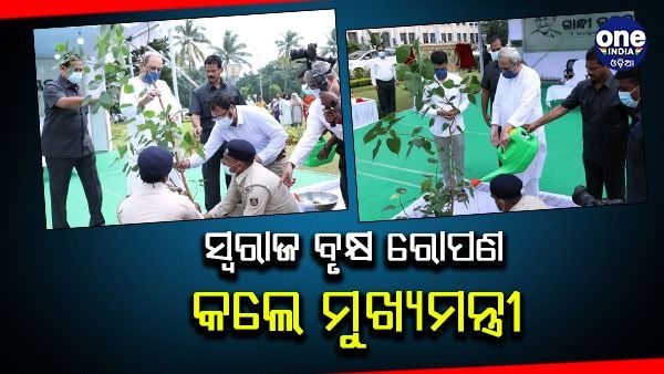 ଲୋକସେବା ଭବନରେ ସ୍ବରାଜ ବୃକ୍ଷ ରୋପଣ କଲେ ମୁଖ୍ୟମନ୍ତ୍ରୀ