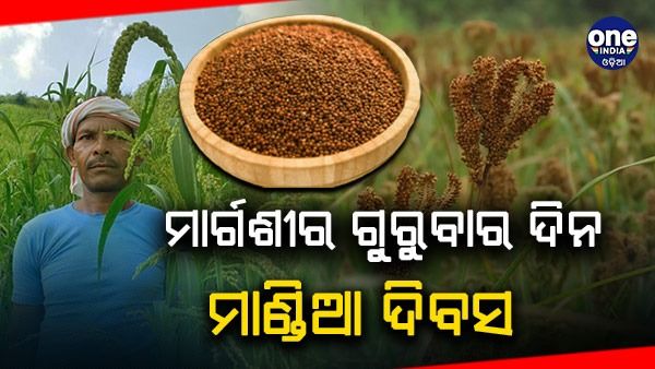 ମାର୍ଗଶିର ମାସର ପ୍ରଥମ ଗୁରୁବାର ଦିନ ପାଳନ ହେବ ମାଣ୍ଡିଆ ଦିବସ