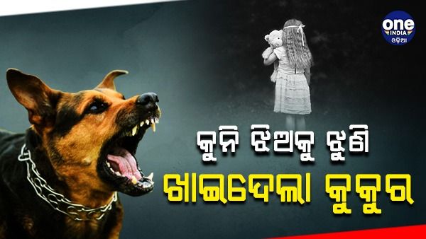 ପାଗଳା କୁକୁର କାମୁଡାରେ ୩ ବର୍ଷର ଶିଶୁ କନ୍ୟା ମୃତ, ୧୩ ଆହତ