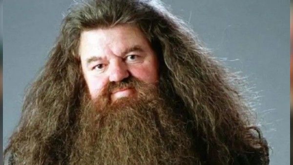 ସମସ୍ତଙ୍କ ପ୍ରିୟ ହାଗ୍ରିଡଙ୍କ ପରଲୋକ