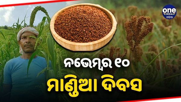 ଆସନ୍ତା ୧୦ ତାରିଖରେ ମାଣ୍ଡିଆ ଦିବସ ପାଳନ କରିବ ସାର ରାଜ୍ୟ