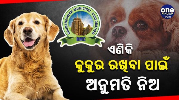 ପୋଷା କୁକୁର ରଖିବା ଉପରେ କଟକଣା ଲଗାଇଲା ବିଏମସି