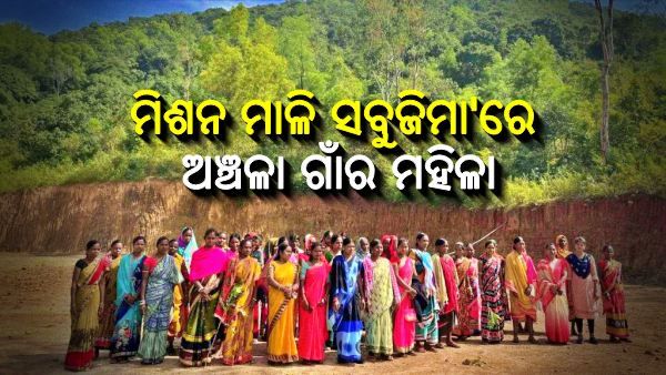 30 ବର୍ଷ ତଳେ ଆରମ୍ଭ ହୋଇଥିଲା 'ମିଶନ ମାଳି ସବୁଜିମା', ଆଜି ଏଥିରେ ସଫଳ ହୋଇଛନ୍ତି ଅଞ୍ଚଳା ଗାଁର ମହିଳା