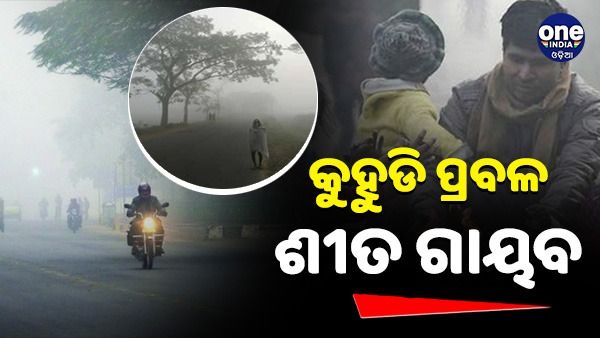 ଘନ କୁହୁଡି ପାଇଁ ୬ ଜିଲ୍ଲାକୁ ୟେଲୋ ୱାର୍ଣ୍ଣିଂ ଜାରି