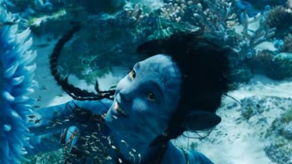 Avatar 2: ପାଣିରେ ନିଶ୍ୱାସ ବନ୍ଦ କରି ଅଭିନେତ୍ରୀ କରିଥିଲେ ସୁଟିଂ, ଜାଣନ୍ତୁ ଅବାତର ଚରିତ୍ରର ପଛର କିଛି କାହାଣୀ