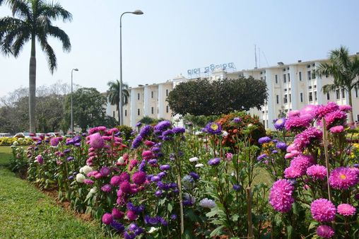 ଜାନୁଆରୀ ମାସର ସବୁ ଛୁଟି ଦିନରେ ଦର୍ଶକଙ୍କ ପାଇଁ ଖୋଲା ରହିବ ଲୋକସେବା ଭବନ ପୁଷ୍ପ ଉଦ୍ୟାନ