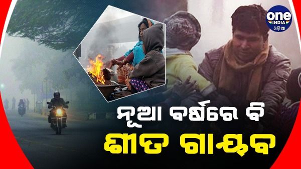 ନୂଆବର୍ଷରେ ବି ଶୀତ ଗାୟବ: ଘନ କୁହୁଡ଼ି ପାଇଁ ଏହି ସବୁ ଜିଲ୍ଲାକୁ ୟେଲୋ ୱାର୍ଣ୍ଣିଂ