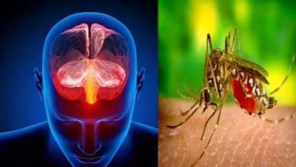 ଭୁବନେଶ୍ବର ILSକୁ ସଫଳତା: ବ୍ରେନ ମ୍ୟାଲେରିଆ ପାଇଁ ଉଦ୍ଭାବନ କଲା ଔଷଧ